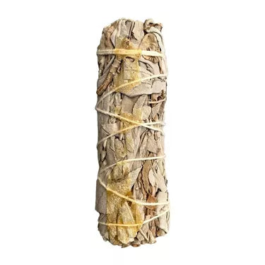 Sauge blanche & copal 5''(smudge) MEXIQUE