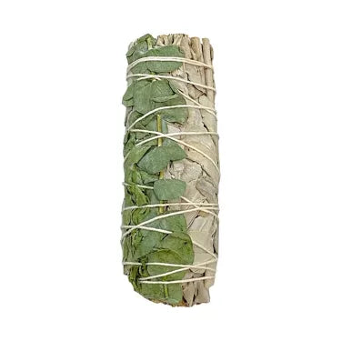 Sauge blanche + eucalyptus 5''(smudge) MEXIQUE