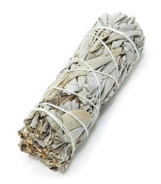 Sauge blanche 5'' (smudge) MEXIQUE